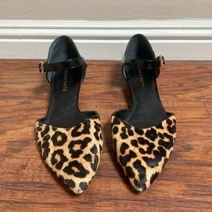 Franco Sarto Cheetah Print Leather Pointed Toe Flats with Strap and Gold Buckle